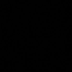 Meet your Posher, Xavier